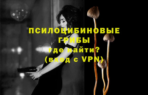 соль ск Бабаево