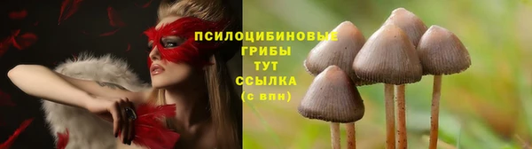 гашик Аша